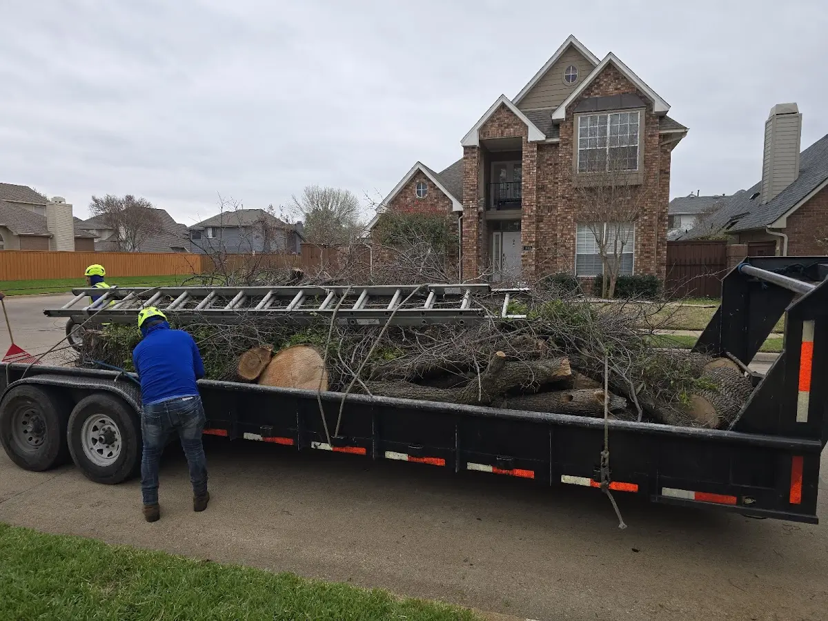 Expert Lot Clearing with proper safety equipment in Tunbridge